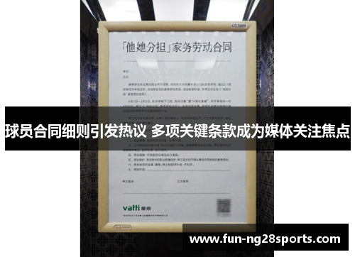 球员合同细则引发热议 多项关键条款成为媒体关注焦点