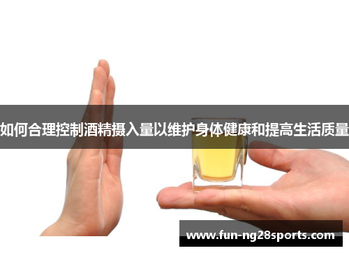 如何合理控制酒精摄入量以维护身体健康和提高生活质量