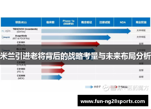 米兰引进老将背后的战略考量与未来布局分析